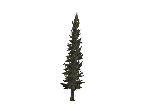 cs1_11_props_veg_10827_14_lod, a GTA V map model