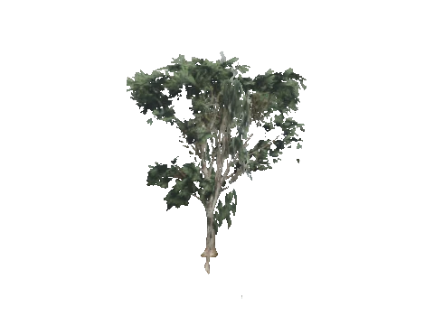 cs1_11_props_veg_10829_01_lod, a GTA V map model