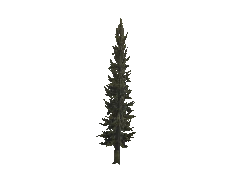cs1_11_props_veg_10829_14_lod, a GTA V map model