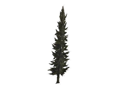 cs1_11_props_veg_10829_25_lod, a GTA V map model