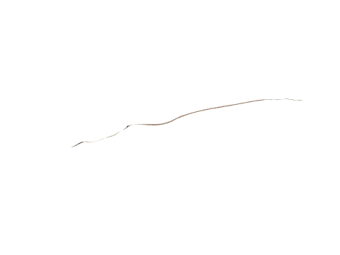 cs1_14_ovrly14, a GTA V map model