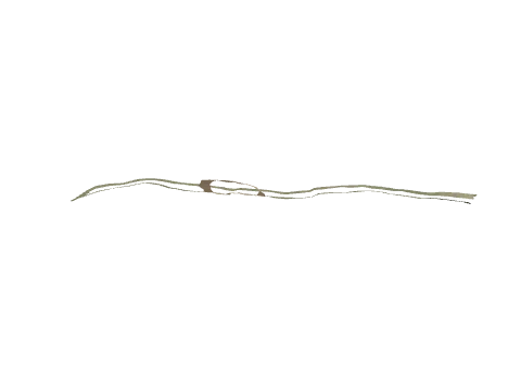 cs1_14_ovrly38, a GTA V map model