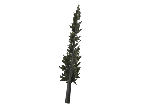 cs1_15_props_cedars01_05_lod, a GTA V map model