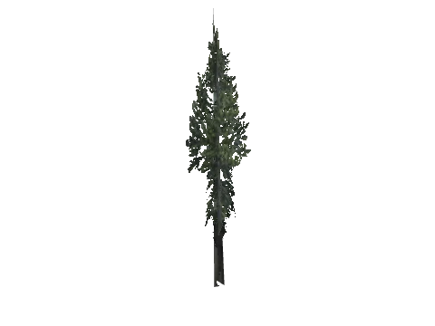 cs1_15_props_cedars02_02_lod, a GTA V map model