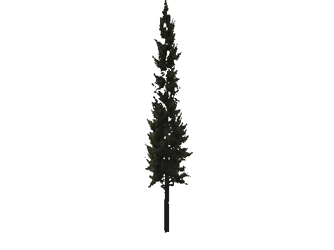 cs1_15_props_cedars02_03_lod, a GTA V map model