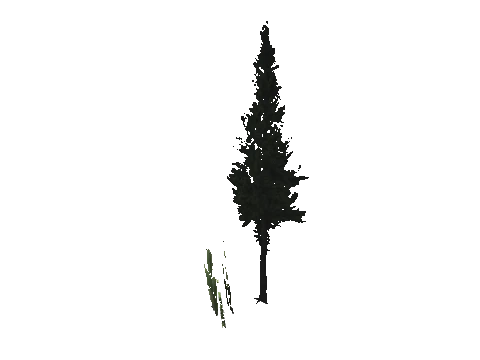 cs1_15_props_cedars02_06_lod, a GTA V map model
