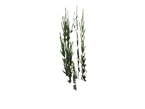cs1_15_props_cedars02_12_lod, a GTA V map model
