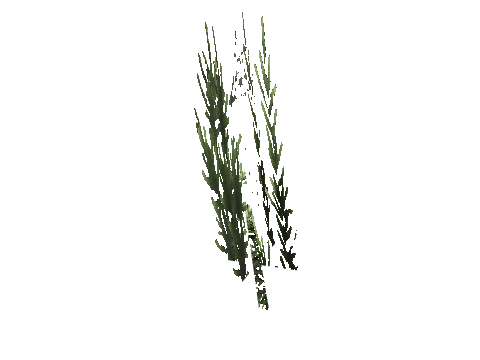 cs1_15_props_cedars02_18_lod, a GTA V map model