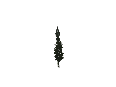 cs1_15_props_cedars03_08_lod, a GTA V map model