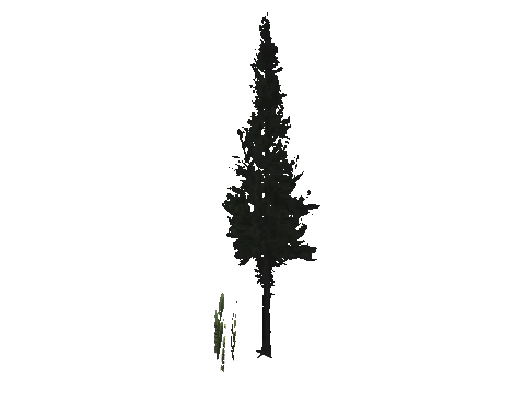 cs1_15_props_cedars03_09_lod, a GTA V map model