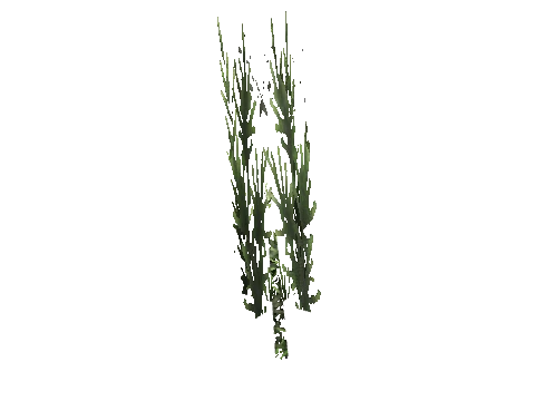 cs1_15_props_cedars03_13_lod, a GTA V map model
