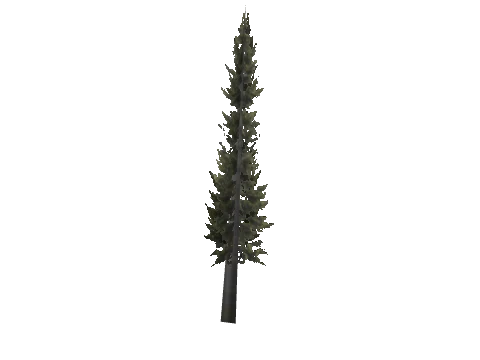 cs1_15_props_cedars03_17_lod, a GTA V map model