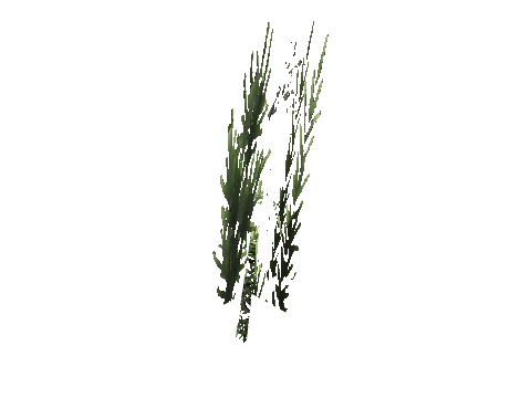 cs1_15_props_cedars03_19_lod, a GTA V map model