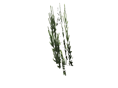 cs1_15_props_cedars04_02_lod, a GTA V map model