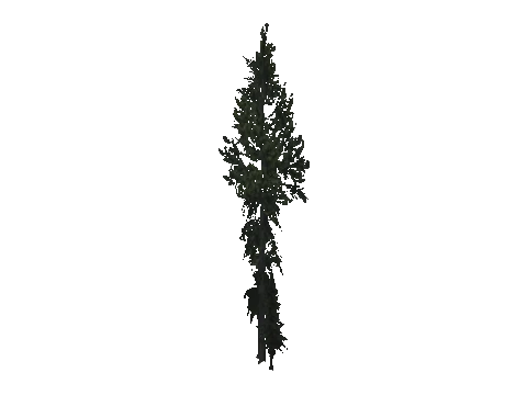 cs1_15_props_cedars05_09_lod, a GTA V map model