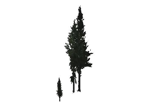 cs1_15_props_cedars05_11_lod, a GTA V map model