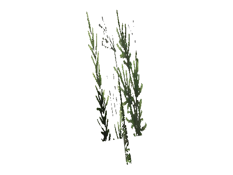 cs1_15_props_cedars06_04_lod, a GTA V map model