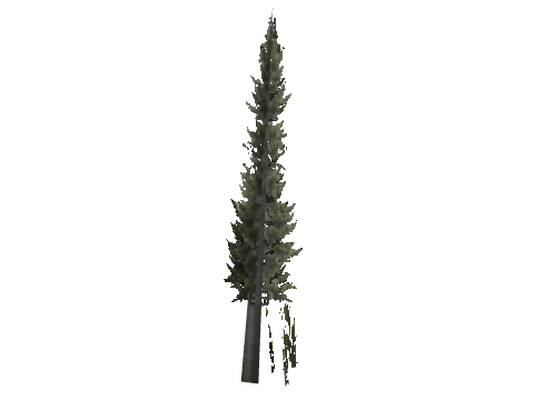 cs1_15_props_cedars07_03_lod, a GTA V map model