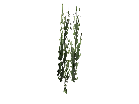 cs1_15_props_cedars07_08_lod, a GTA V map model