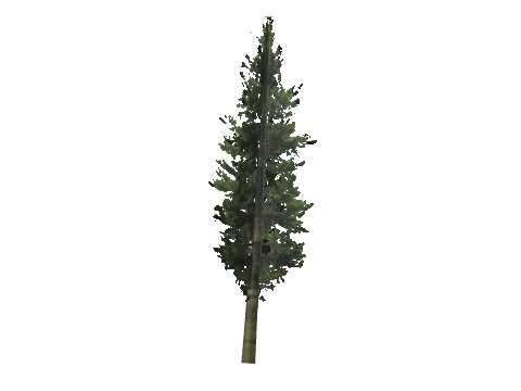 cs1_15_props_cedars07_11_lod, a GTA V map model
