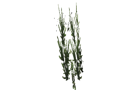 cs1_15_props_cedars08_02_lod, a GTA V map model