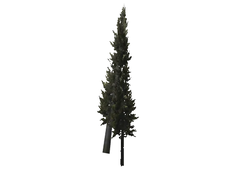 cs1_15b_props_veg09_10_lod, a GTA V map model