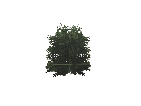 cs1_15b_props_veg10_18_lod, a GTA V map model