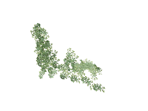 cs1_15c_cult_ivy_7, a GTA V map model