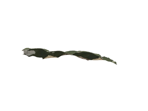 cs1_15c_l_13, a GTA V map model