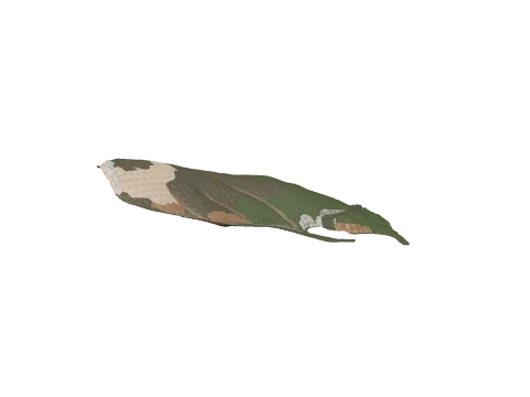 cs1_15c_land02_lod, a GTA V map model