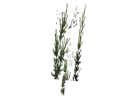 cs1_15c_props_cedars21_07_lod, a GTA V map model