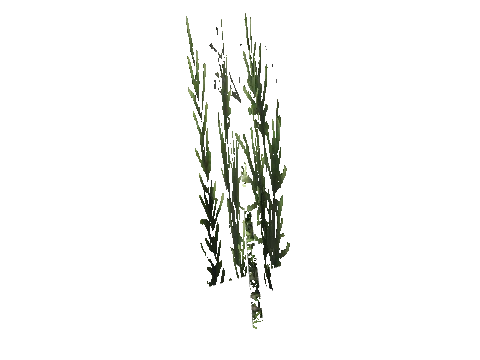 cs1_15c_props_cedars21_15_lod, a GTA V map model