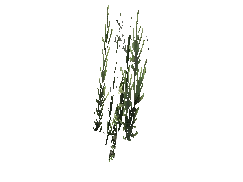 cs1_15c_props_cedars222_32_lod, a GTA V map model