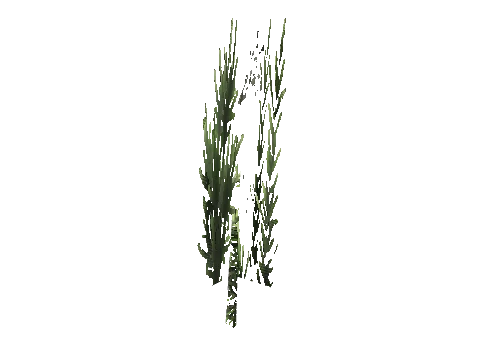 cs1_15c_props_cedars231_07_lod, a GTA V map model