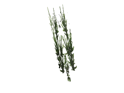 cs1_15c_props_cedars24_04_lod, a GTA V map model