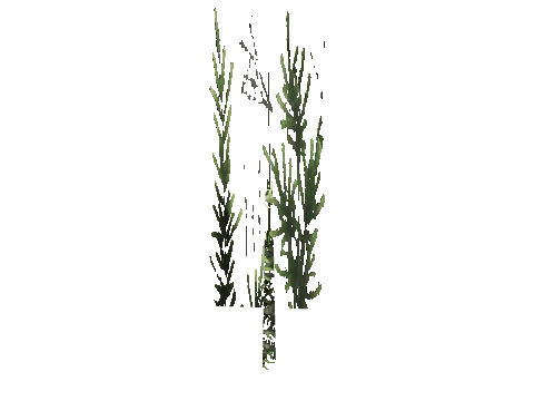 cs1_15c_props_cedars24_07_lod, a GTA V map model