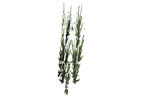 cs1_15c_props_cedars25_14_lod, a GTA V map model