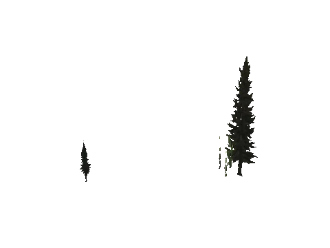 cs1_15c_props_cedars29_07_lod, a GTA V map model