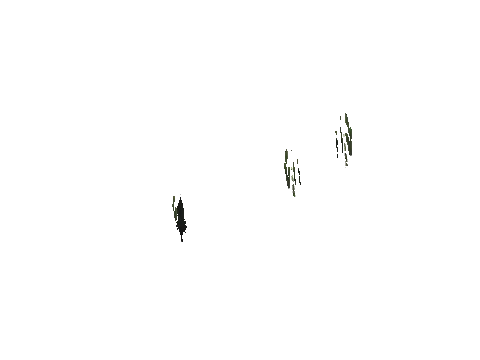 cs1_15c_props_cedars29_20_lod, a GTA V map model