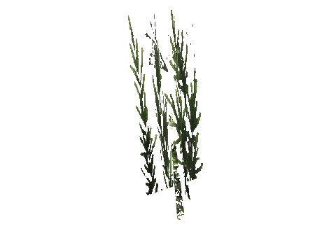 cs1_15c_props_cedars29_24_lod, a GTA V map model