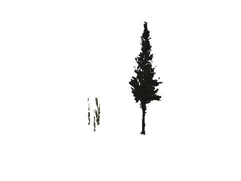 cs1_15c_props_cedars31_11_lod, a GTA V map model
