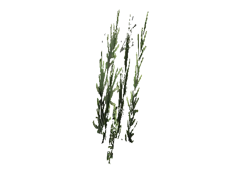 cs1_15c_props_cedars31_24_lod, a GTA V map model