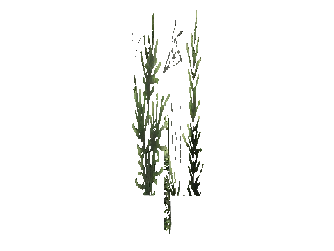 cs1_15c_props_cedars34_09_lod, a GTA V map model