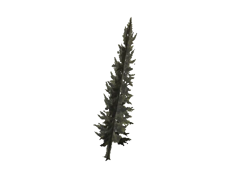 cs1_15c_props_cedars34_23_lod, a GTA V map model