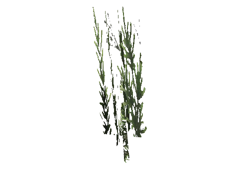 cs1_15c_props_cedars34_24_lod, a GTA V map model