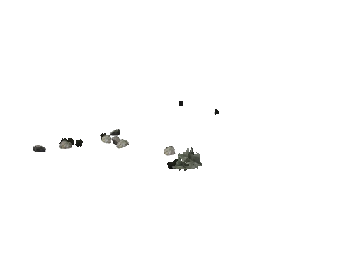 cs1_16_props_bushy01_62_lod, a GTA V map model