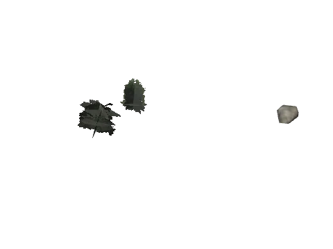 cs1_16_props_bushy01_75_lod, a GTA V map model