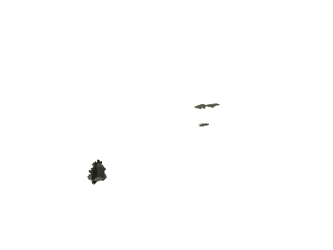 cs1_16_props_bushy01_78_lod, a GTA V map model