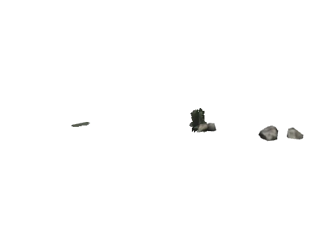 cs1_16_props_bushy01_82_lod, a GTA V map model