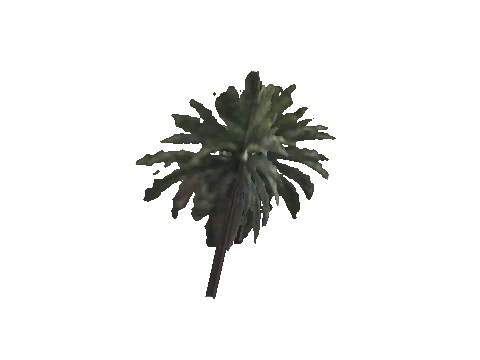 cs1_16_props_bushy07_26_lod, a GTA V map model